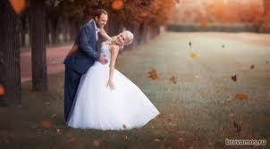 Свадебное агентство как выбрать идеальное Свадебное агентство как выбрать идеальное