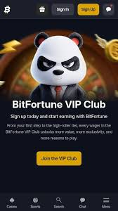 New Games Added to Bitfortune A Fresh Gaming Experience Awaits