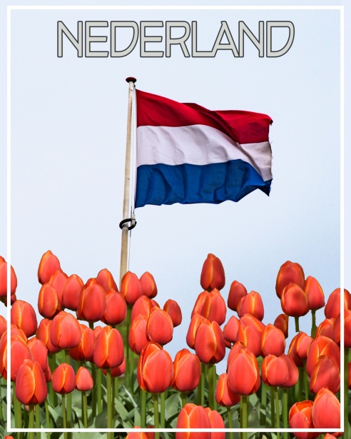 De Groei van Craft Bier in Nederland 407160582